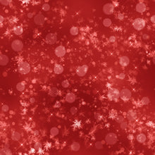 Load image into Gallery viewer, Christmas Flare 004 Aida Fabric || Printed Fabric || Cross Stitch Canvas || 11/14/16/18/20 Count