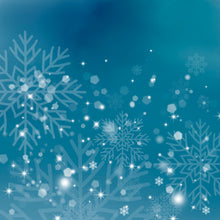 Load image into Gallery viewer, Christmas Frost 003 Aida Fabric || Printed Fabric || Cross Stitch Canvas || 11/14/16/18/20 Count