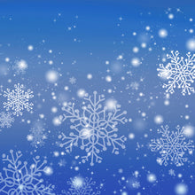 Load image into Gallery viewer, Christmas Frost 004 Aida Fabric || Printed Fabric || Cross Stitch Canvas || 11/14/16/18/20 Count