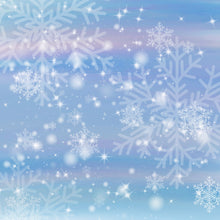 Load image into Gallery viewer, Christmas Frost 009 Aida Fabric || Printed Fabric || Cross Stitch Canvas || 11/14/16/18/20 Count