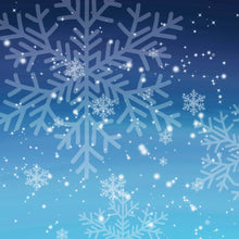 Load image into Gallery viewer, Christmas Frost 011 Aida Fabric || Printed Fabric || Cross Stitch Canvas || 11/14/16/18/20 Count