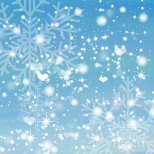 Load image into Gallery viewer, Christmas Frost 012 Aida Fabric || Printed Fabric || Cross Stitch Canvas || 11/14/16/18/20 Count