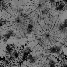 Load image into Gallery viewer, Cobwebs 009 Aida Fabric || Printed Fabric || Cross Stitch Canvas || 11/14/16/18/20 Count