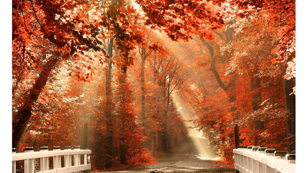 AUTUMN GIFT / AIDA BOXES || CROSS STITCH GOODIES || PRE - ORDER